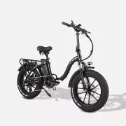 2025 KRISTALL Y20/Y20 PRO 750W 18/20Ah Fold Electric Bike eBike Mountain Bicycle