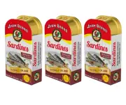 3 x HALAL Ayam Brand Fried Sardines In Chilli Oil 120g