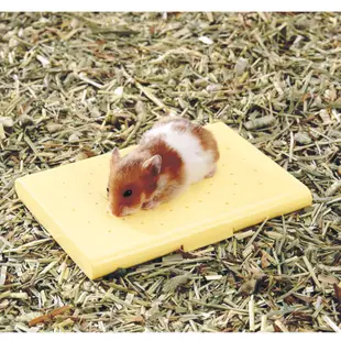 【三隻小豬寵物用品】RH-560日本Marukan寵物鼠暖暖墊 / 保暖墊