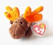 TY BEANIE BABY CHOCOLATE THE MOOSE 93 PE NO STAMP RETIRED BEAN BAG PLUSH TOY NEW