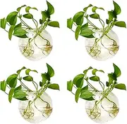 Sfeexun 4 Pcs Wall Hanging Glass Planters 4 Inches Diameter Round Glass Plant Pot - Water Planting Vases Air Flower Vase Plant Terrariums Plant Container (4 Pcs)