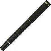 Sailor Fountain Pen, Fountain Pen, Ebonite Carved Fountain Pen, Luminous Point, Medium Point 10-8086-420