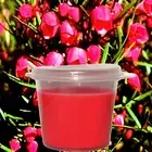 Australian Red Boronia Luxury Scented Large Candle Melts 15/30 Pack