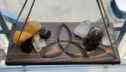 Triquetra Crystal Cleansing Shelf