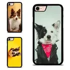 pet dog border collie Plastic TPU Cover For Samsung A15 A16 S23 S24 S25 Ultra FE