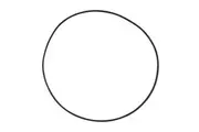 Davey Silensor SLL Pump Lid O ring - Large