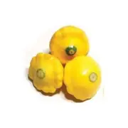 Organic Button Squash Whole Kg – Fresh, healthy organic delivery | Doorstep Organics