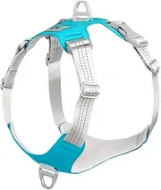 Pet Rope Padded Pet Dog Harness No Pull Dog Reflective Chest Strap Belt Vest Adjustable Outdoor Training Protective Harness Pet Traction Rope (Color : Blue, Size : XXL)