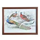 Bean Bag Lap Tray Table Dinner Stable Breakfast Serving Tray Laptray- Peacock