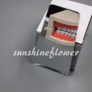 Stainless Steel Reflector Mirror Dental Orthodontic Photographic Occlusal Adult