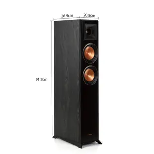 Klipsch x Onkyo兩聲道音響組 RP-5000F 落地式喇叭+TX-SR393 5.2聲道環繞擴大機