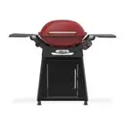 New Weber Family Q+ (Q3100N+) Gas Barbecue (LPG) Red RRP $889 - FREE POSTAGE