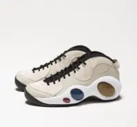 在飛比找Yahoo!奇摩拍賣優惠-NIKE AIR ZOOM FLIGHT 95 DX3954