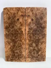Stabilized Australian Brown Mallee Burl Scales