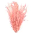 10-Pack Faux Pampas Grass 18 Inch for Home Decor/Wedding [Pink]