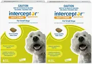 Interceptor Spectrum Tasty Chews for Small Dogs 4 to 11Kg Green 12 Chews