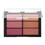 [VISEART] Palette 6 Blush Palette