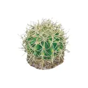 Eco Tech Reptile Pineapple Cactus Plant Decor
