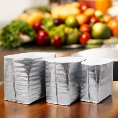 2-Pack Disposable Thickened Aluminum Foil Thermal Insulated Bags - Food Storage
