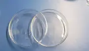 lab Glass Petri Dish 180mm Clear Borosillicate glass ( 7 inch ) Pack of 2 new