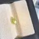 【艾爾莎寶石】1.1ct 高淨度 強七彩炫光! 色散超越鑽石! 極品黃綠色！天然無燒榍石Sphene 陽光下七彩炫光