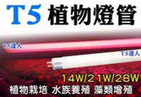 在飛比找Yahoo!奇摩拍賣優惠-T5達人 T5 14W 21W 28W植物燈管 東亞 飛利浦