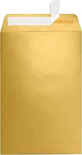 6 x 9 Open End Envelopes - Gold Metallic (50 Qty) | Perfect for mailing Documents Catalogs Direct Mail Promotional Material Brochures and More| 1644-07-50
