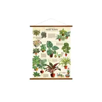 在飛比找誠品線上優惠-美國 Cavallini 復古海報掛軸組 / 室內植物