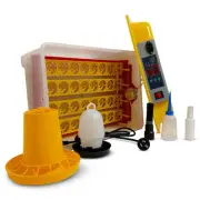 Electric 32 Egg Incubator Turner Drinker Feeder Candler Chicken Turkey Quail ...