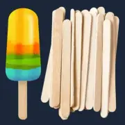 100PCS POPSICLE STICK IceCube Lollipop Maker Wooden Craft Stick Mold Accessories
