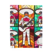 Velveteen Plush Blanket Funny Cute Stained Glass Platypus Mariachi Band Decor