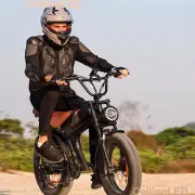 1000W 48V 20Ah Electric Bike All terrain Mountain Bike e-MTB 20" Off-Road E-Bike