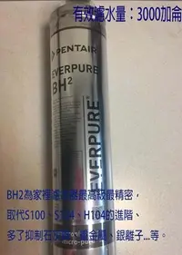 在飛比找Yahoo!奇摩拍賣優惠-Everpure 愛惠普/愛惠浦 BH2/BH2取代S100