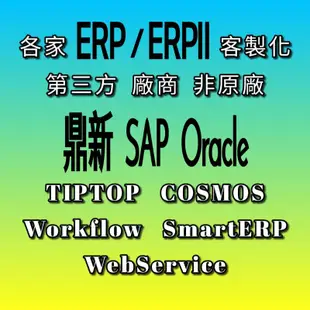 各家 ERP ERPII 客製化 鼎新 SAP Oracle WebService 電腦顧問 原廠第三方專家SI廠商