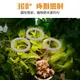 植物燈 LED 全光譜植物燈 5V生長燈 USB 定時調光栽培燈 3色植物生長燈泡 多肉植物燈 花卉盆栽種植