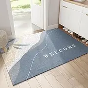 Door Mat, Indoor Door Mat, Durable and Absorbent, Washable Indoor Floor Mats for Front Door, Back and Entrance