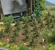 Reforestation set : 15 young spruces and 10 tree roots HO/OO Gauge Busch 6392