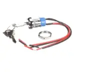 Cornelius Switch Key Dpst 32977 - Free Shipping + Geniune OEM