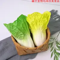 在飛比找樂天市場購物網優惠-仿真白菜 假大白菜 假蔬菜水果模型家居擺設櫥柜裝飾早教學用具