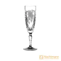 在飛比找momo購物網優惠-【Nachtmann】葡萄香檳杯-透明(170ML)
