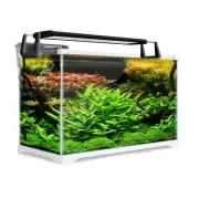 Dynamic Power Aquarium Starfire Glass Fish Tank Set Filter Pump 39L w/ LED New