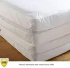 Pestrol White Bed Bug Mattress Protectors: All sizes - Direct from the Importer.