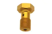 TRW Lucas Banjo bolt short M10 x 1,0 Brembo, gold