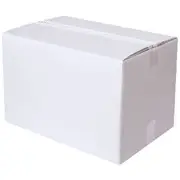 PPS Recycled Heavy Duty Mailing Box 490 x 315 x 310mm