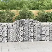 Arched Galvanised Iron Gabion Baskets for Garden Plant, Pots, Seed, Plants, Seedlings, Outdoor 300x50x100/120 cm