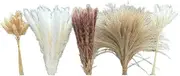 150PCS Pampas Grass Boho HomeDecor Dried Flowers Decoration Pampas Grass Contains Bunny White Pampas Brown Pampas Decor