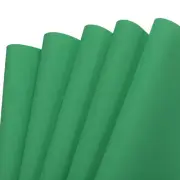 EVA Foam Sheets Light Green 19.7 Inch x 19.7 Inch 1mm Thick Crafts Sheets 5Pcs