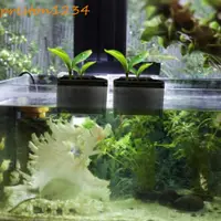 在飛比找蝦皮購物優惠-PRESTON水族館播種機,塑料黑色水生植物花盆,水盆杯懸掛