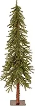 National Tree 5 Foot Hickory Cedar Tree (CED7-50-S)