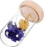 HAWILLOSCH Preserved Rose Flower LED Lights in Glass Dome Romantic Home Decor Cozy Atmosphere for Battery Operated Batteries Not Included Unique Eternal Flower Decoration